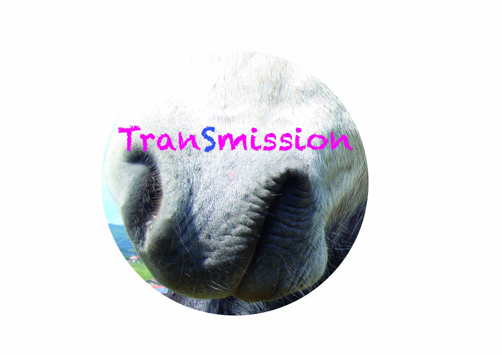 TranSmission